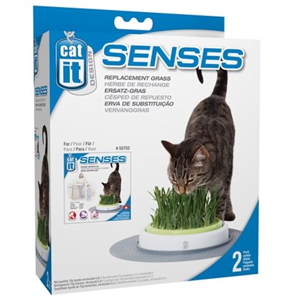 Cat It Senses Grass Garden