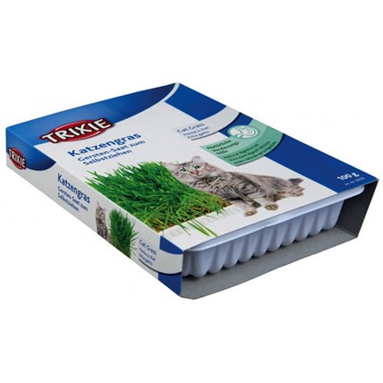 Kattgräs med odlingslåda 100 g
